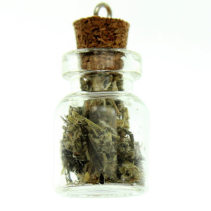 Bottle Charms with Bail Herbs in 22x15mm Glass Bottle