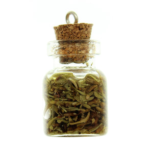 Bottle Charms with Hang Hole Herbs and Oil in 22x15mm Glass Bottle