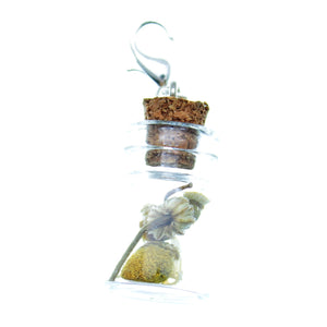 Clip-On Bottle Charms with Herbs Chamomile Flowers